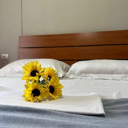 Square * ティラナ