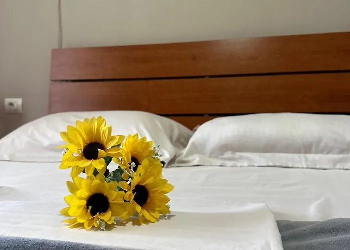 Square * ティラナ